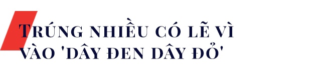 tong giam doc vietlott la ai anh 5