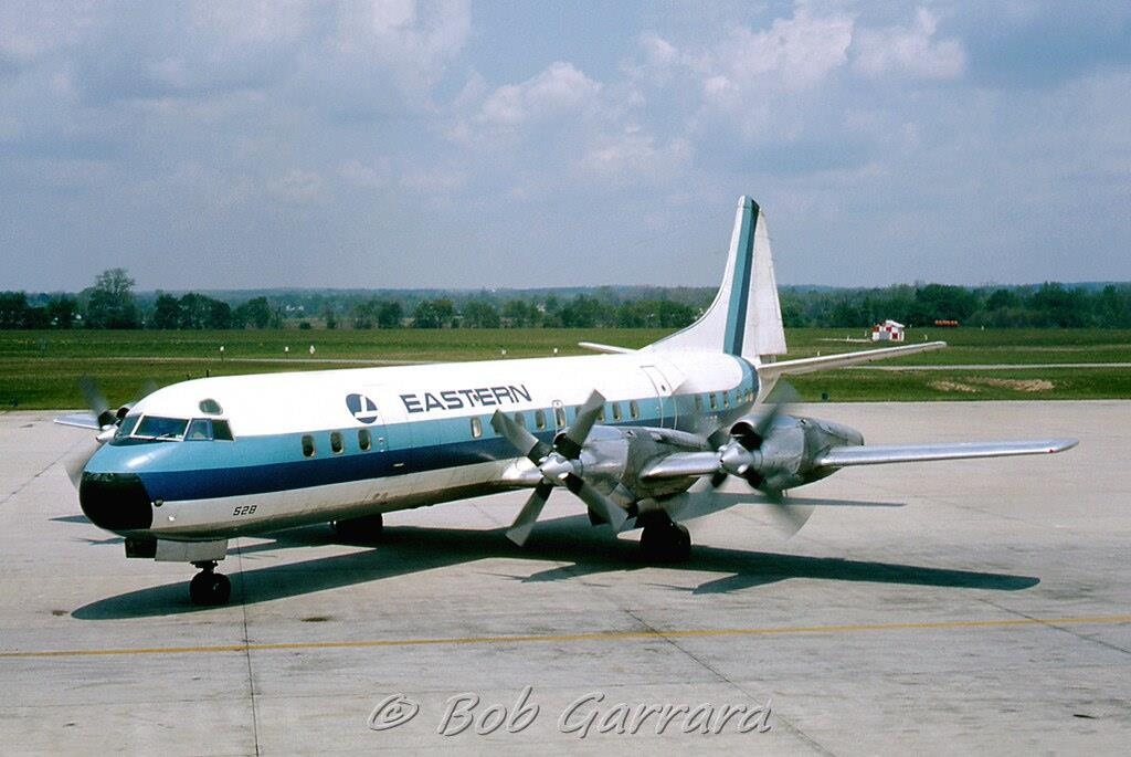 hang hang khong cua Donald Trump anh 6