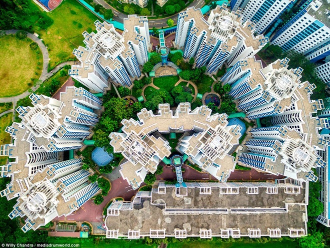 Cac do thi chuan Singapore co gi? hinh anh