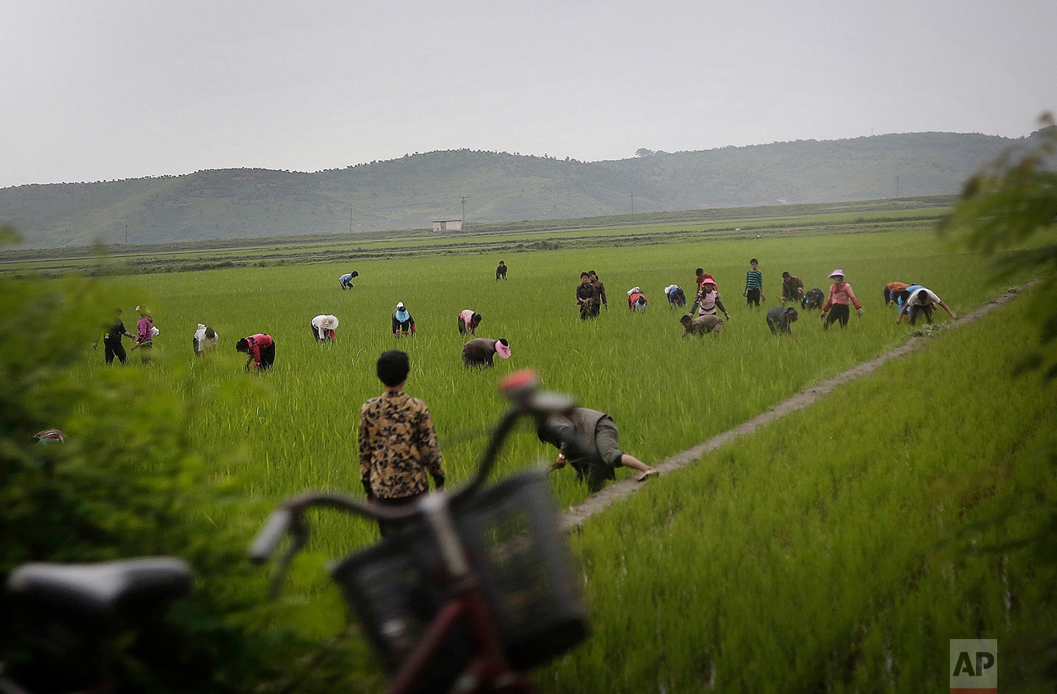 cong nhan Trieu Tien anh 18