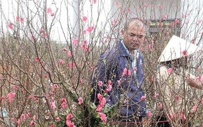 Meo mua sam ngay Tet voi 25 trieu dong? hinh anh