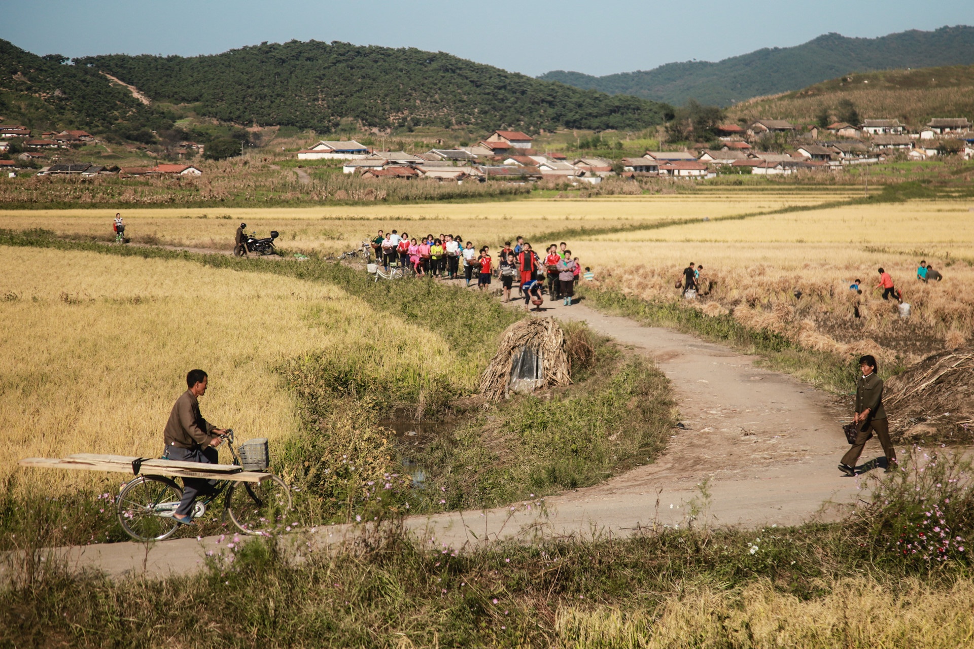 Triều Tiên học Việt Nam làm kinh tế ảnh 3 Trieu Tien hoc Viet Nam lam kinh te anh 3