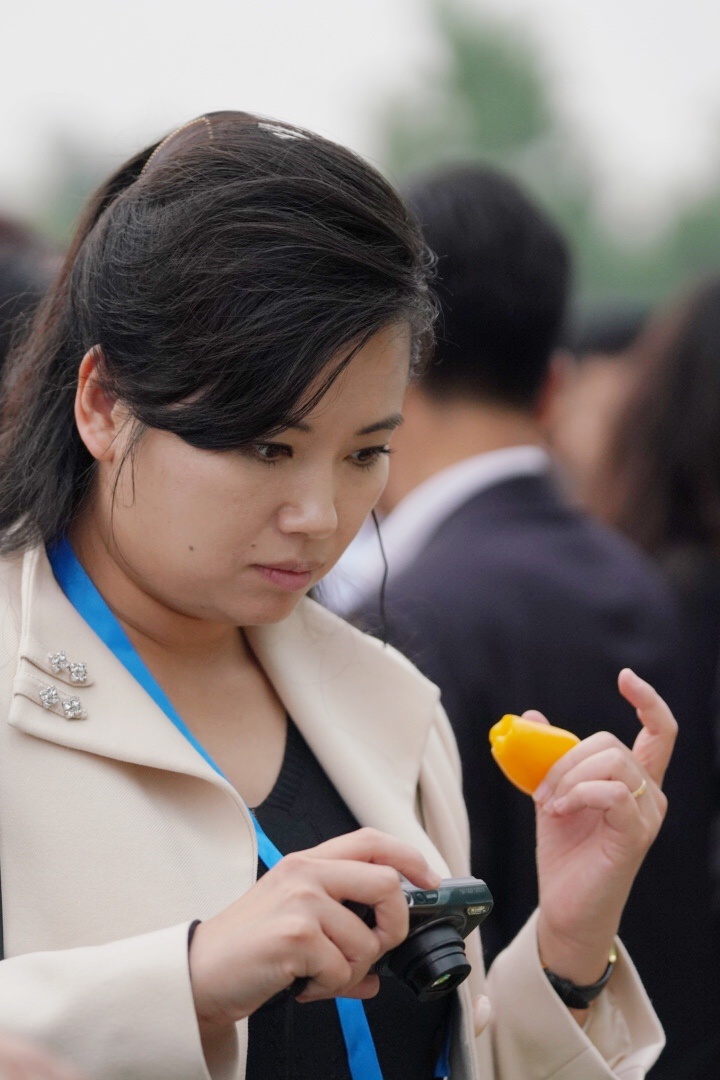 Doan trieu tien tham vinfast anh 9