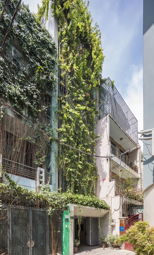 nha dep nhieu cay o tp hcm anh 1