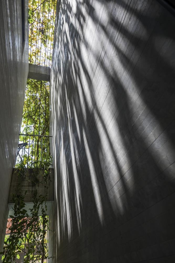 nha dep nhieu cay o tp hcm anh 6