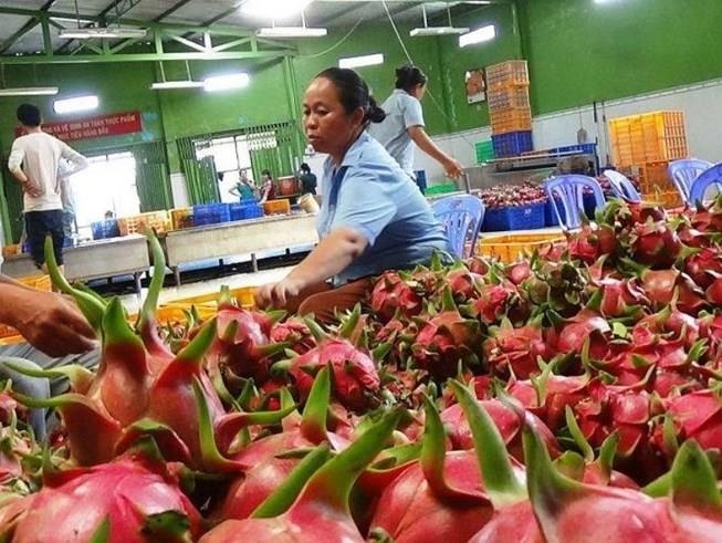 Nhat, EU siet kiem tra mot so mat hang nhap tu Viet Nam hinh anh