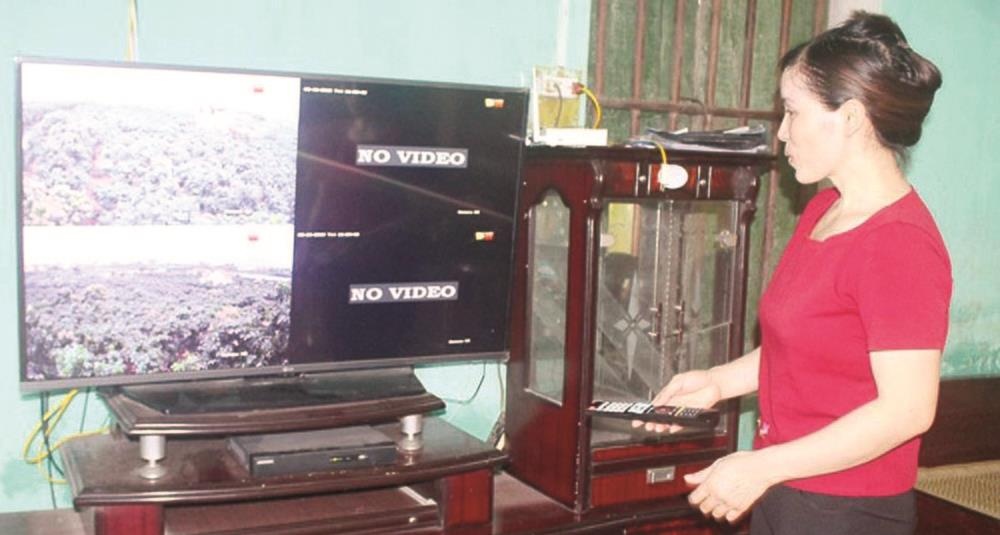 vải thiều lục ngạn 200 nghìn đồng ảnh 1 vai thieu luc ngan 200 nghin dong anh 1