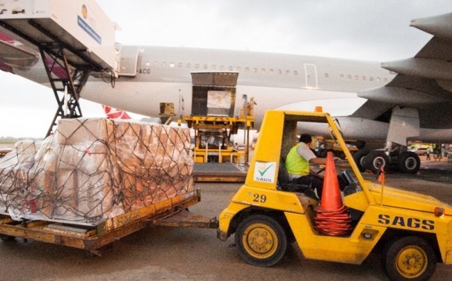 Dinh chi nhan vien lai xe tai 'tat dau' may bay o Tan Son Nhat hinh anh