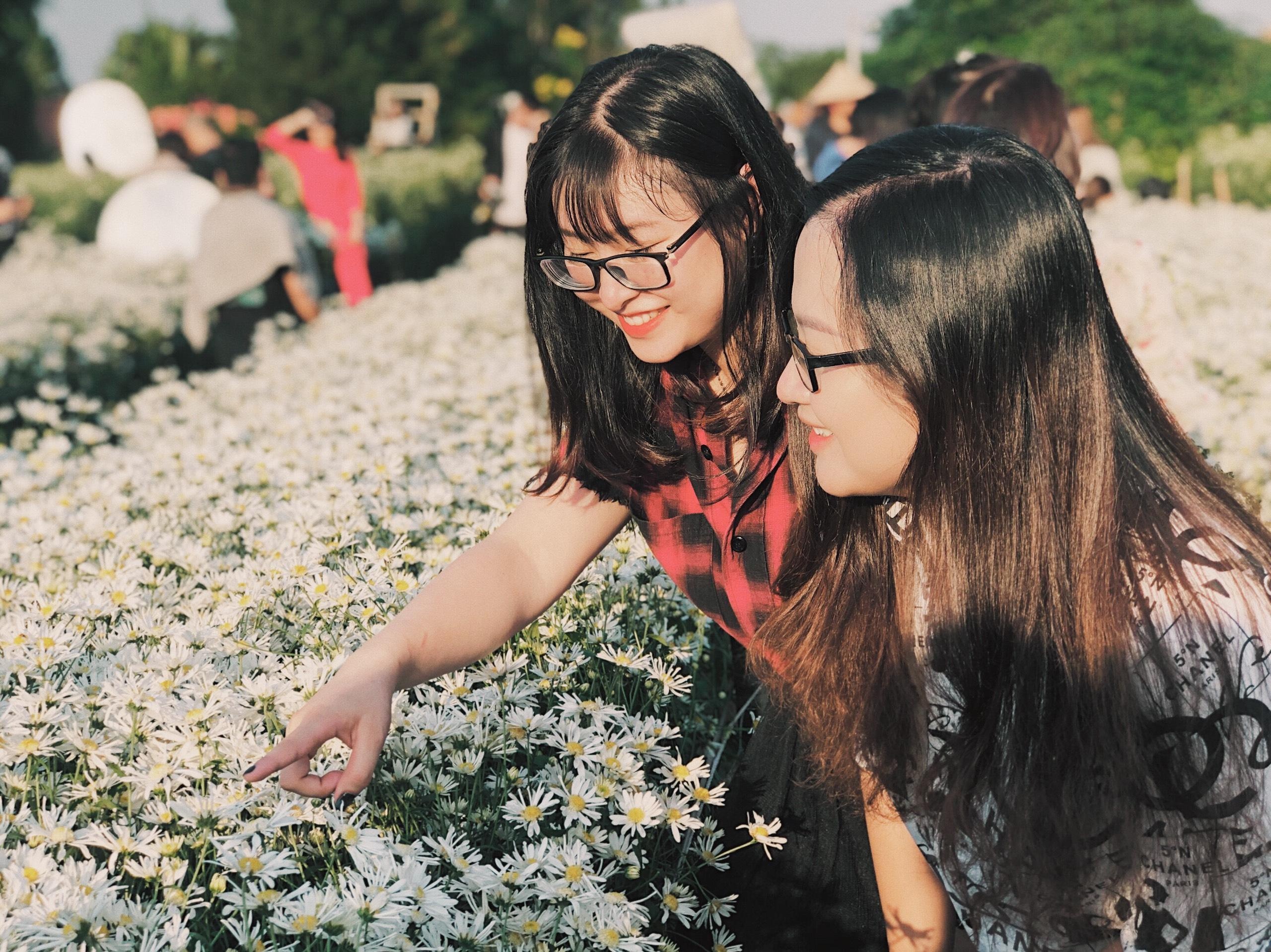 Nha vuon cuc hoa mi thu vai chuc trieu moi ngay nho khach chup anh hinh anh