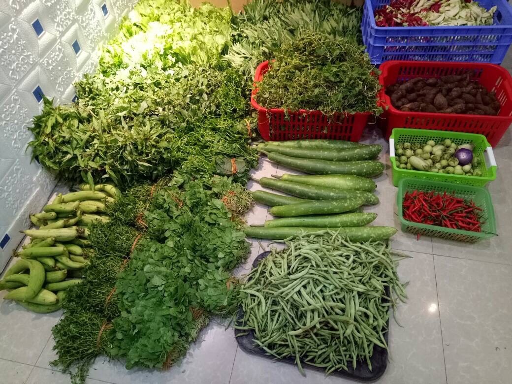 Ban thit que, rau sach kiem chuc trieu moi thang hinh anh