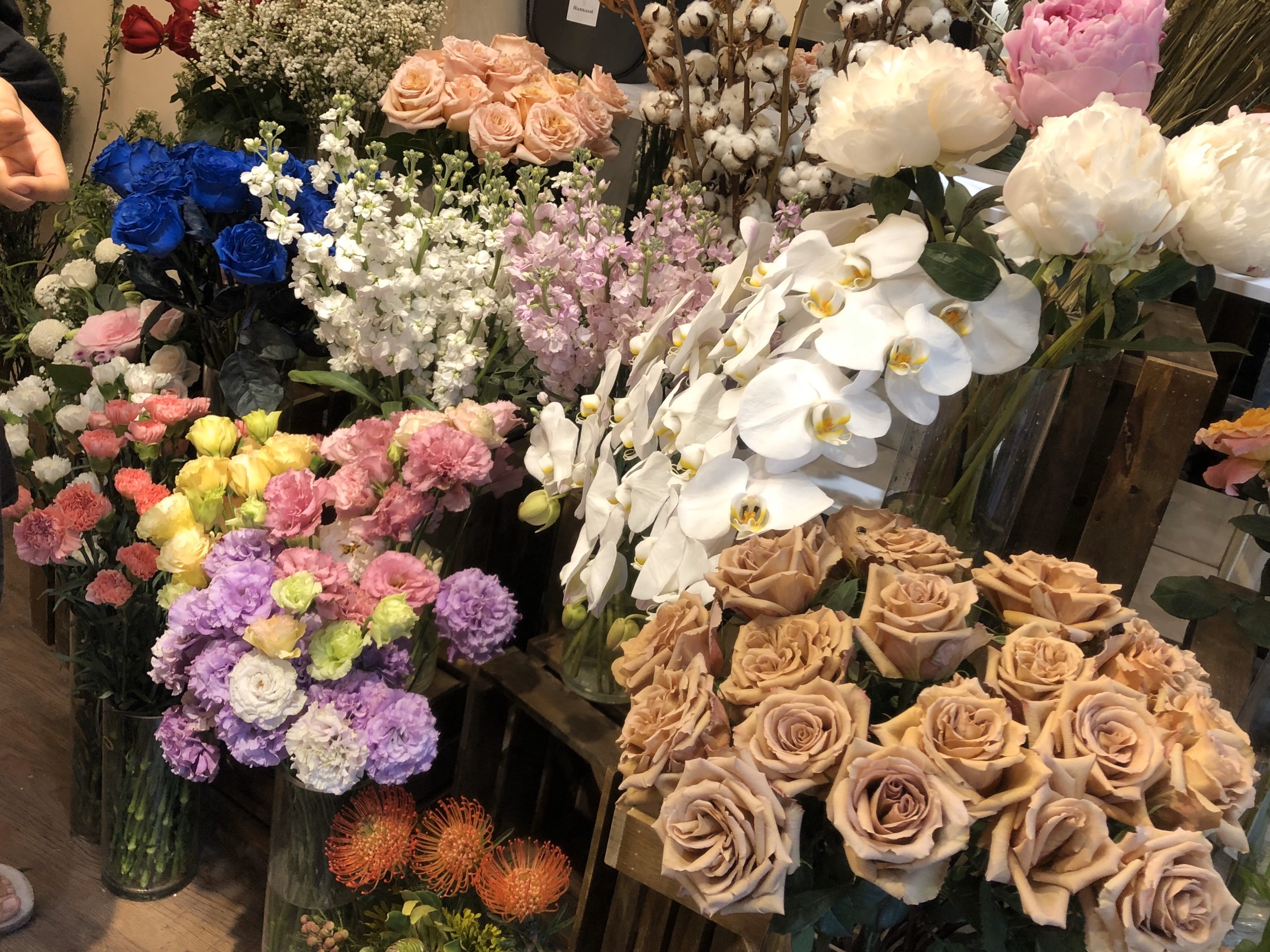 Mua hoa ca chuc trieu dong tang thay co ngay 20/11 hinh anh