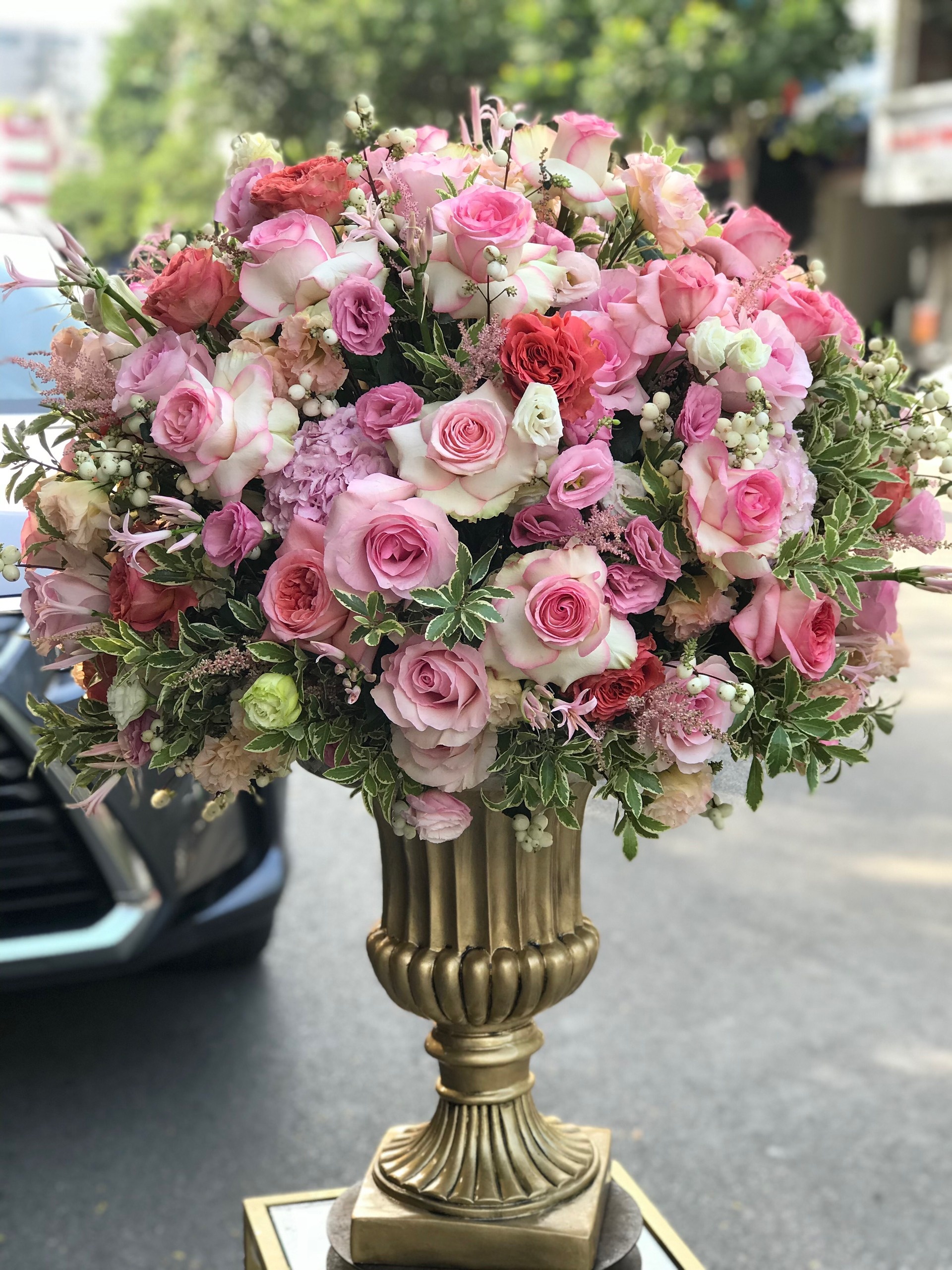 hoa 20/11 đắt đỏ ảnh 2 hoa 20/11 dat do anh 2