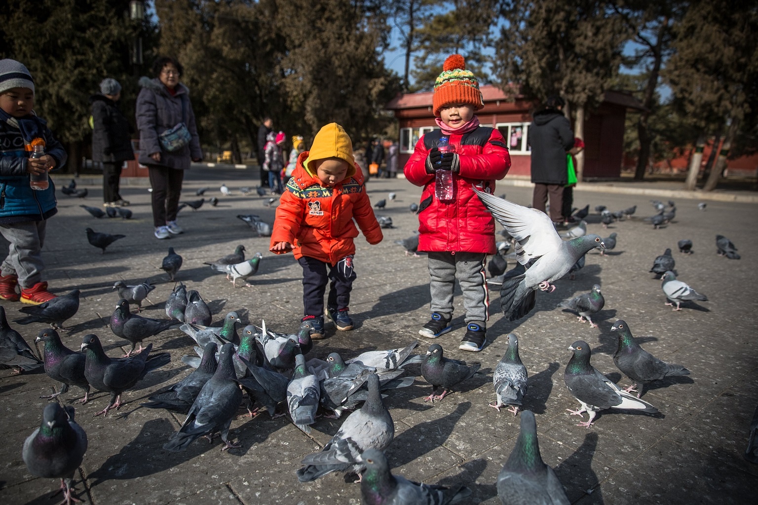 so tre so sinh Trung Quoc thap ky luc anh 1