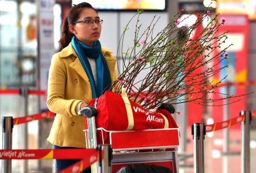 Hang khong dua mo dich vu van chuyen dao, mai Tet 2020 hinh anh