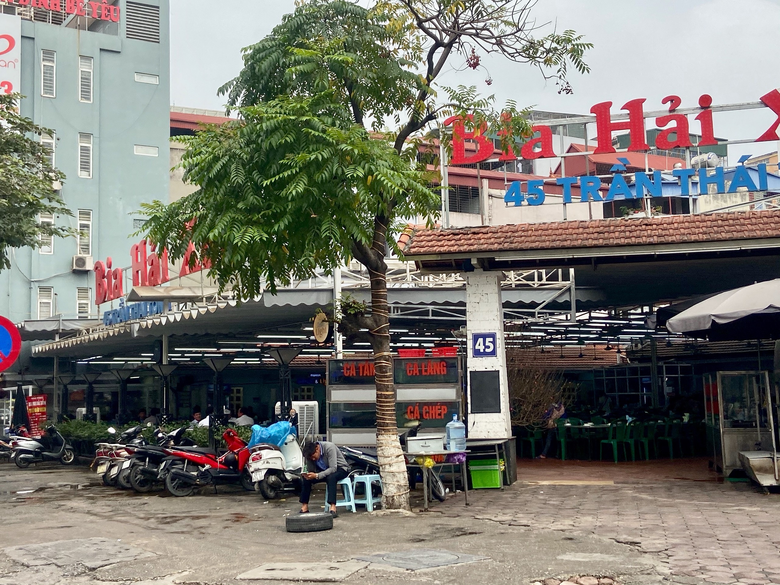 phat nong do con anh 1