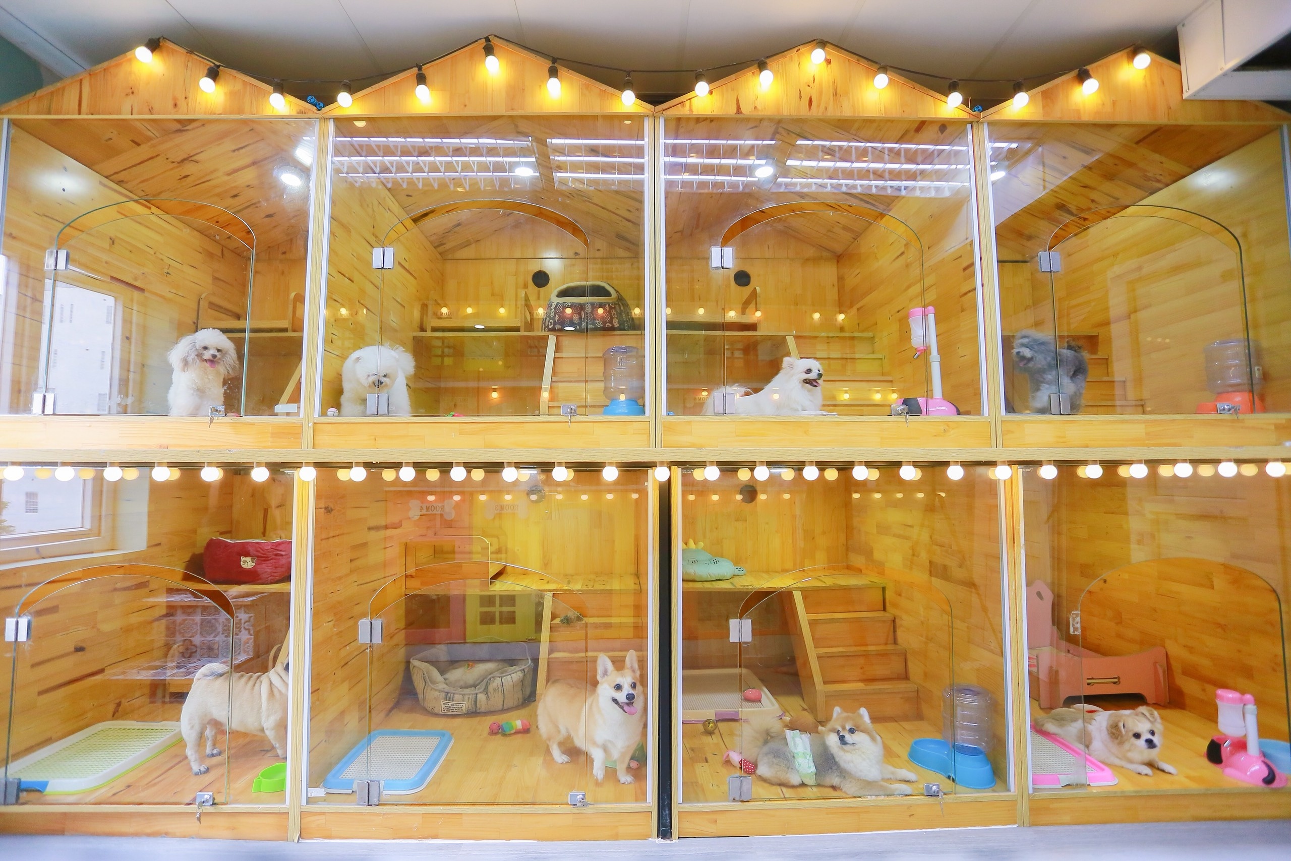 Chi tien trieu gui cho, meo di nghi khach san dip Tet  hinh anh