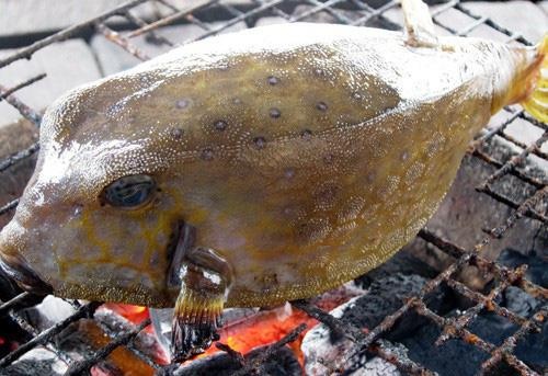 Loai ca ky di la mon ngon noi tieng Phu Yen hinh anh