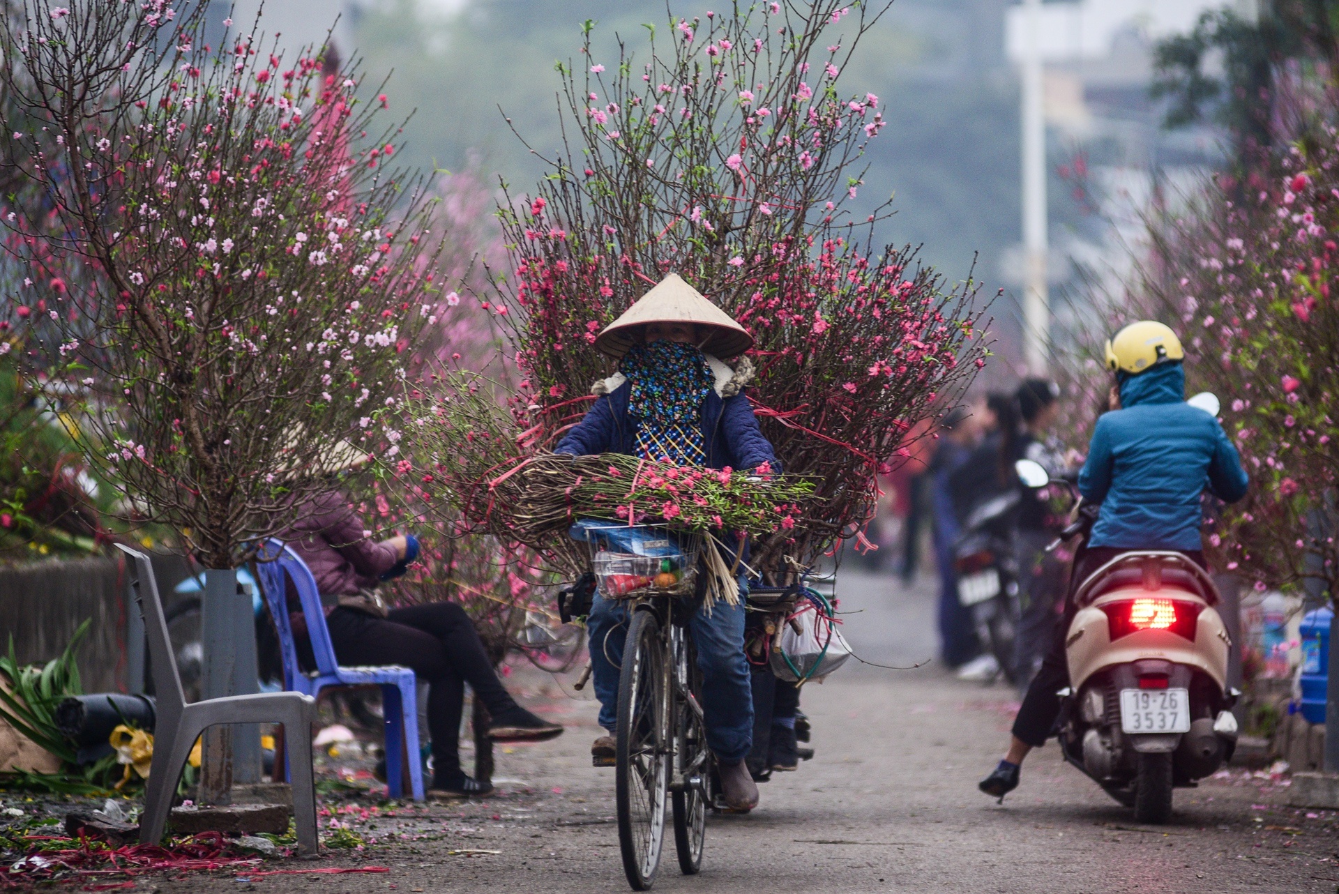 TP Hai Duong keu goi mua dao Tet ho tro nong dan hinh anh