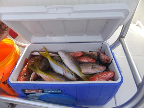 Khach hang Uber de quen ca, ao chong dan va tro hoa tang tren xe hinh anh