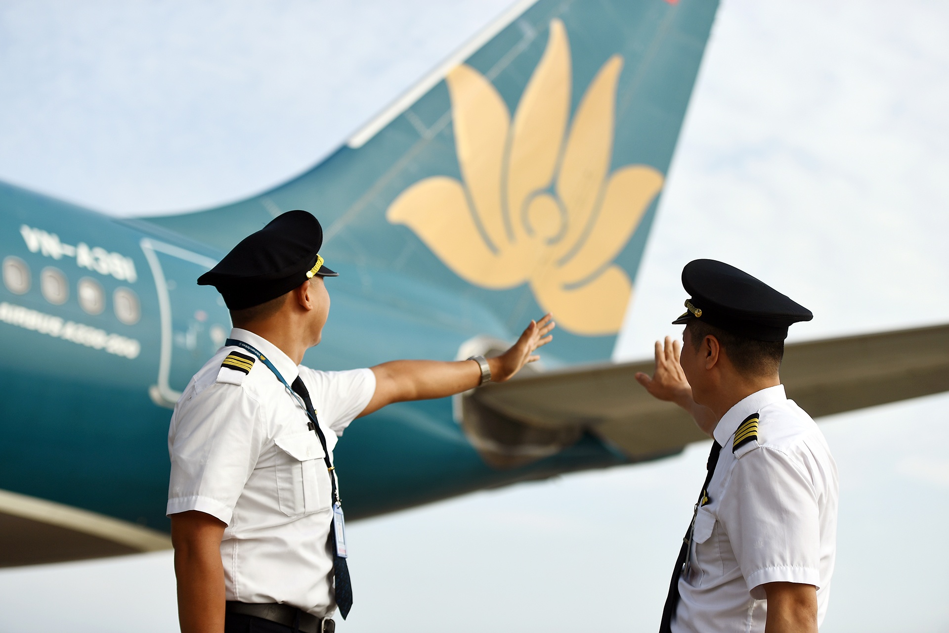 Co nguy co pha san, vi sao co phieu Vietnam Airlines van tang gia? hinh anh