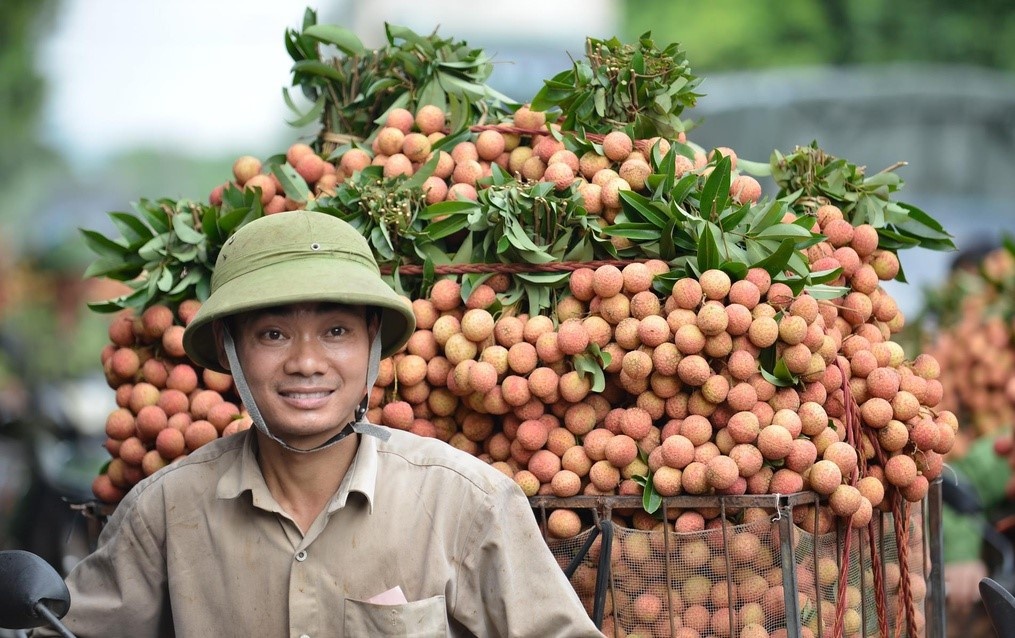 Hang tram tan vai Bac Giang duoc ban qua mang hinh anh
