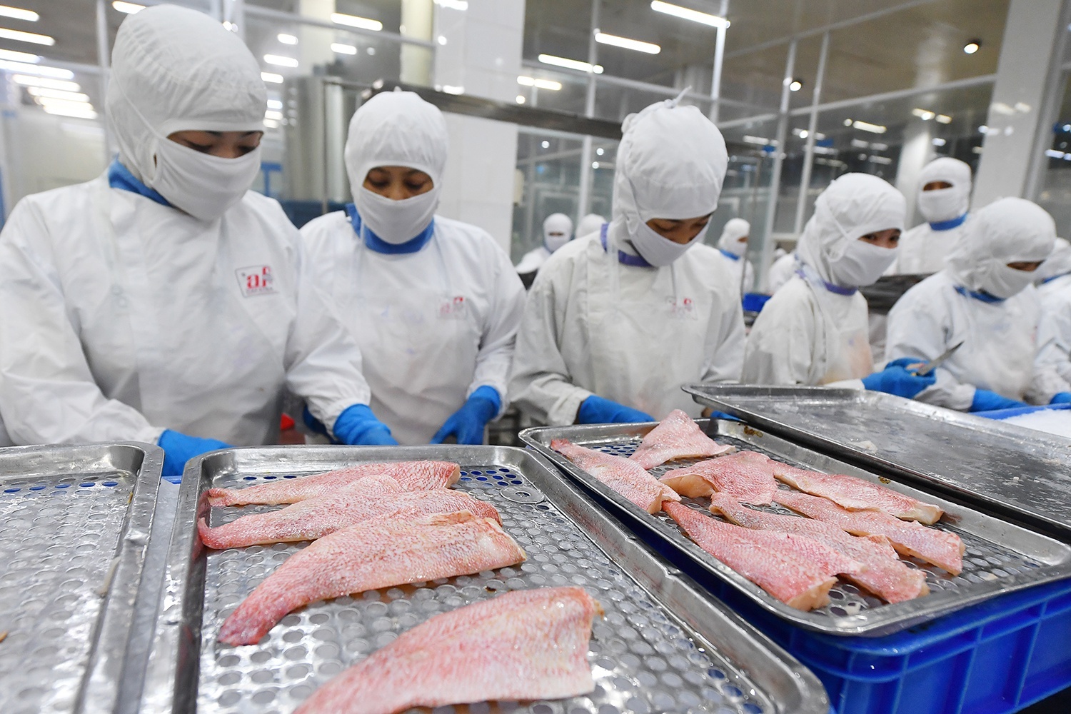 tam dung dong quy tu tuat,  huu tri anh 1