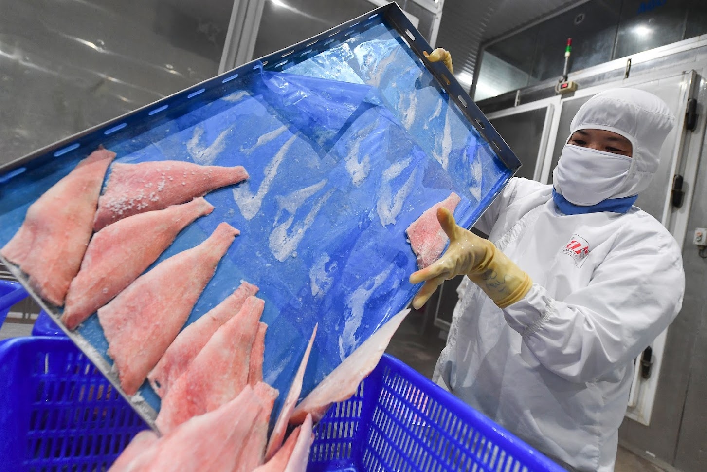 Doanh nghiep nuoc ngoai mong Viet Nam som mo cua hinh anh