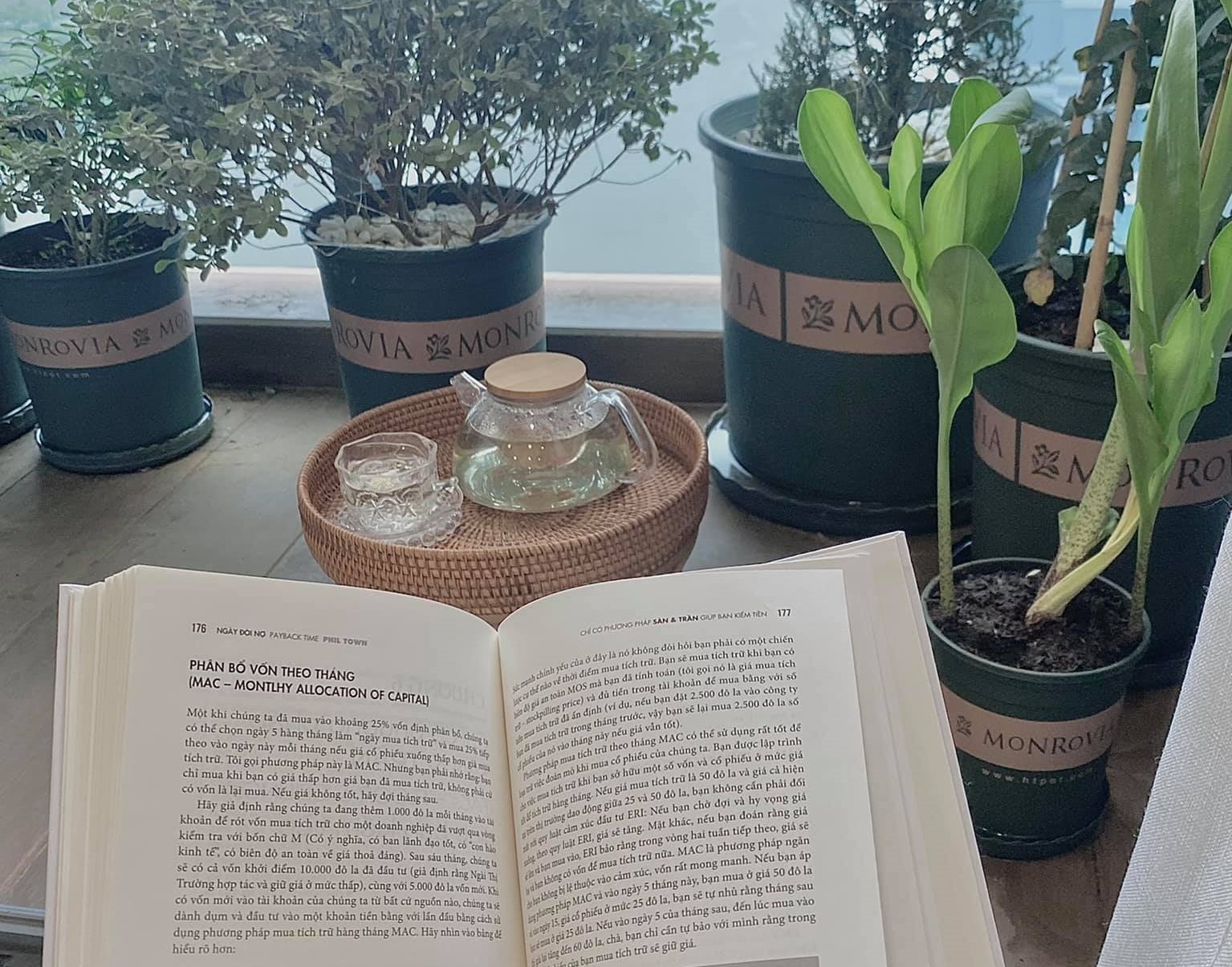 Song tich cuc giua mua dich o TP.HCM hinh anh