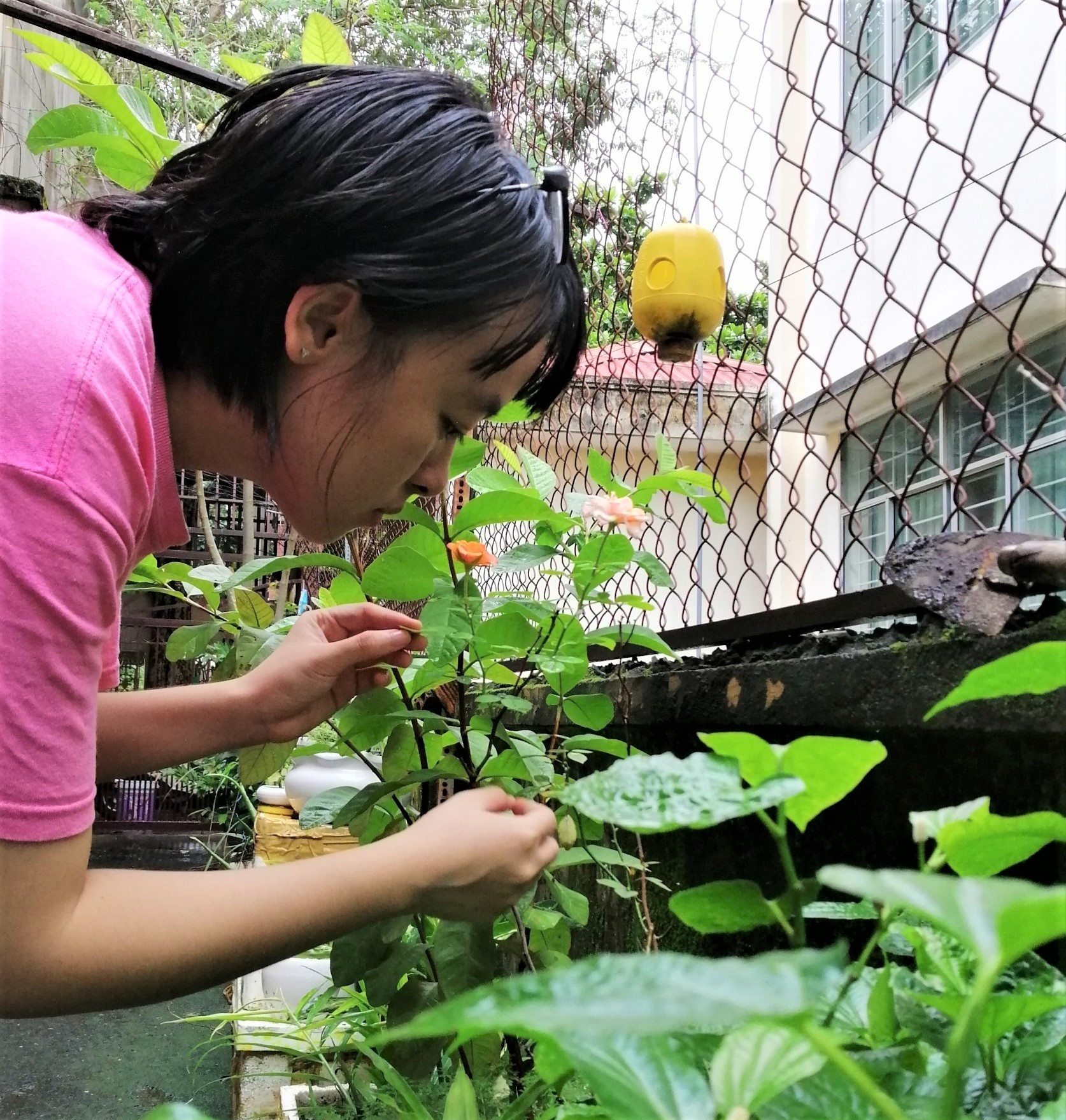 song tich cuc mua dich anh 4