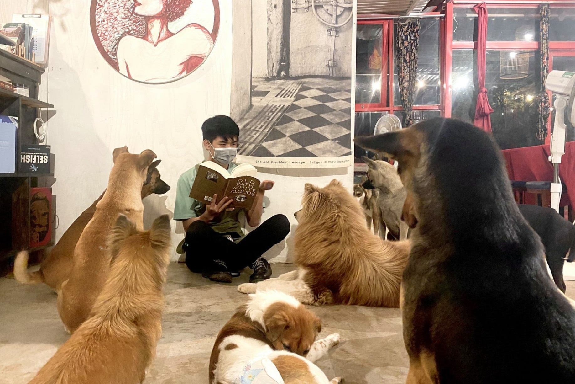 nuoi cho bo roi o TPHCM anh 5