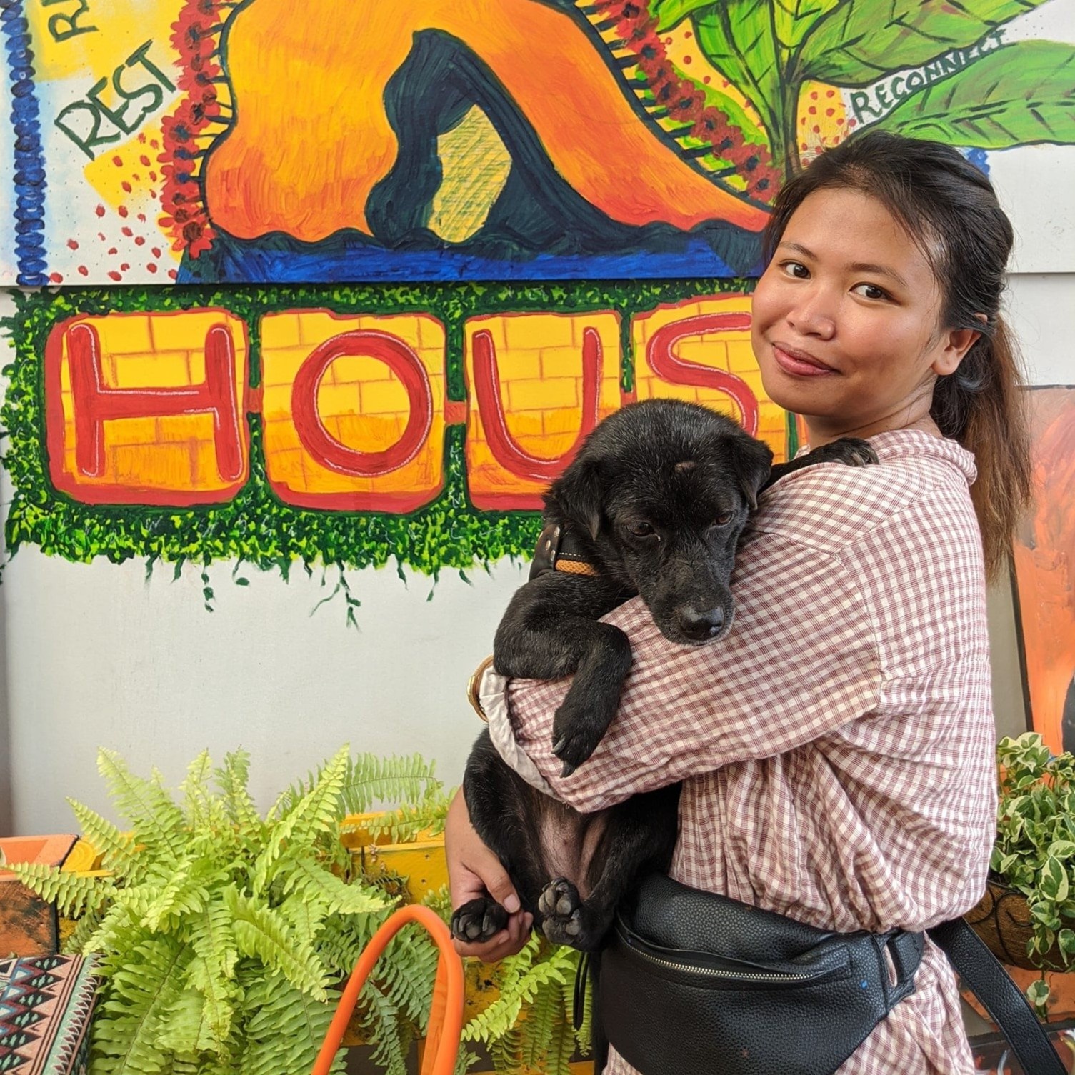 nuoi cho bo roi o TPHCM anh 2