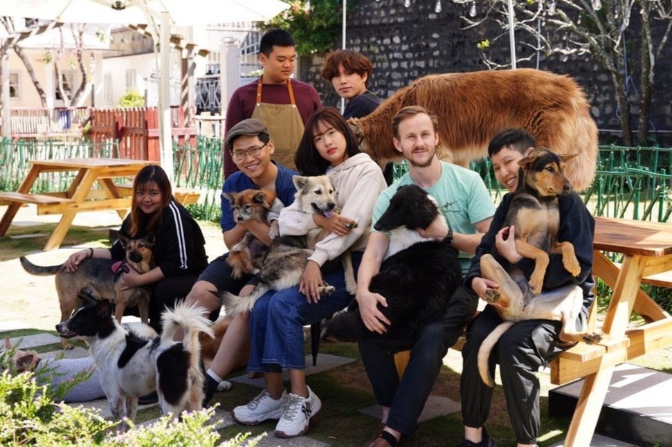 Mai am cua nhung chu cho bi bo roi tai TP.HCM giua dich hinh anh