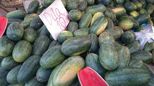 Nghich ly dua hau tai cho cao gap 10 lan gia thu mua hinh anh