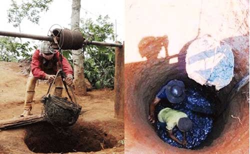 Hai ra tien voi nghe xong dat am phu hinh anh