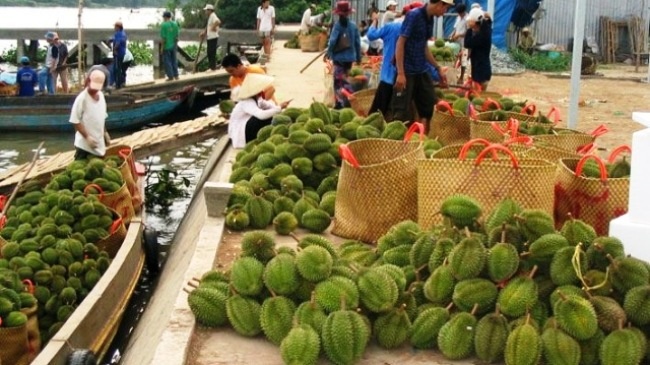 Vao mua, gia sau rieng giam 40% hinh anh