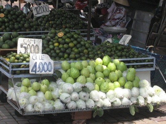 Den luot oi mien Tay cho giai cuu hinh anh