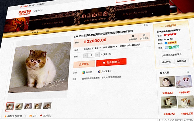 6 mon do gay bat ngo tung xuat hien tren Taobao hinh anh