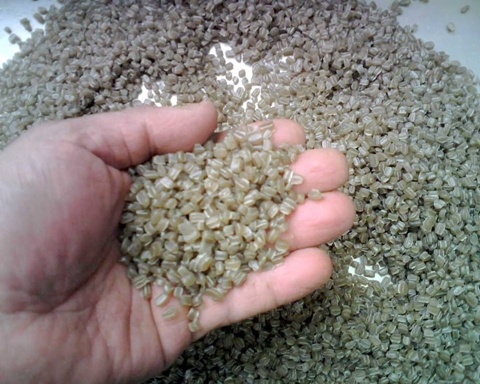 Ly giai cua chuyen gia Viet Nam dap tan tin don gao gia hinh anh