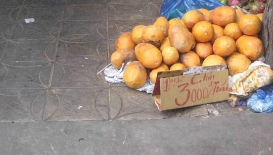 Nha vuon khoc rong vi du du chang ai mua hinh anh