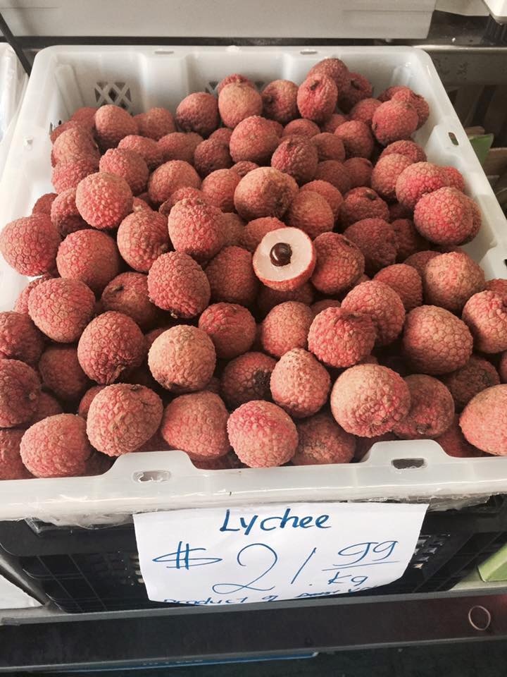 Nguoi Viet o Australia hao huc cho mua vai thieu hinh anh