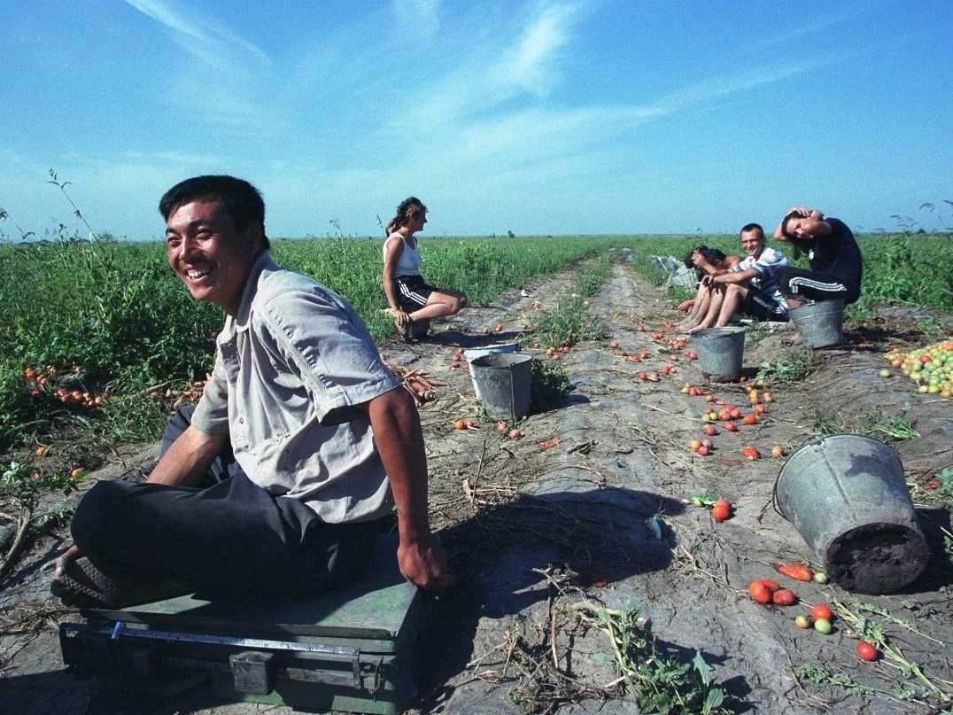 Nong dan Trung Quoc bo viec de choi chung khoan hinh anh