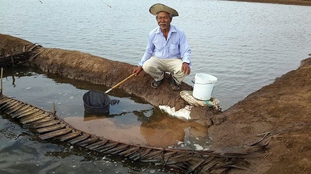 Nuoi Artemia giup nhieu ho dan lam giau hinh anh