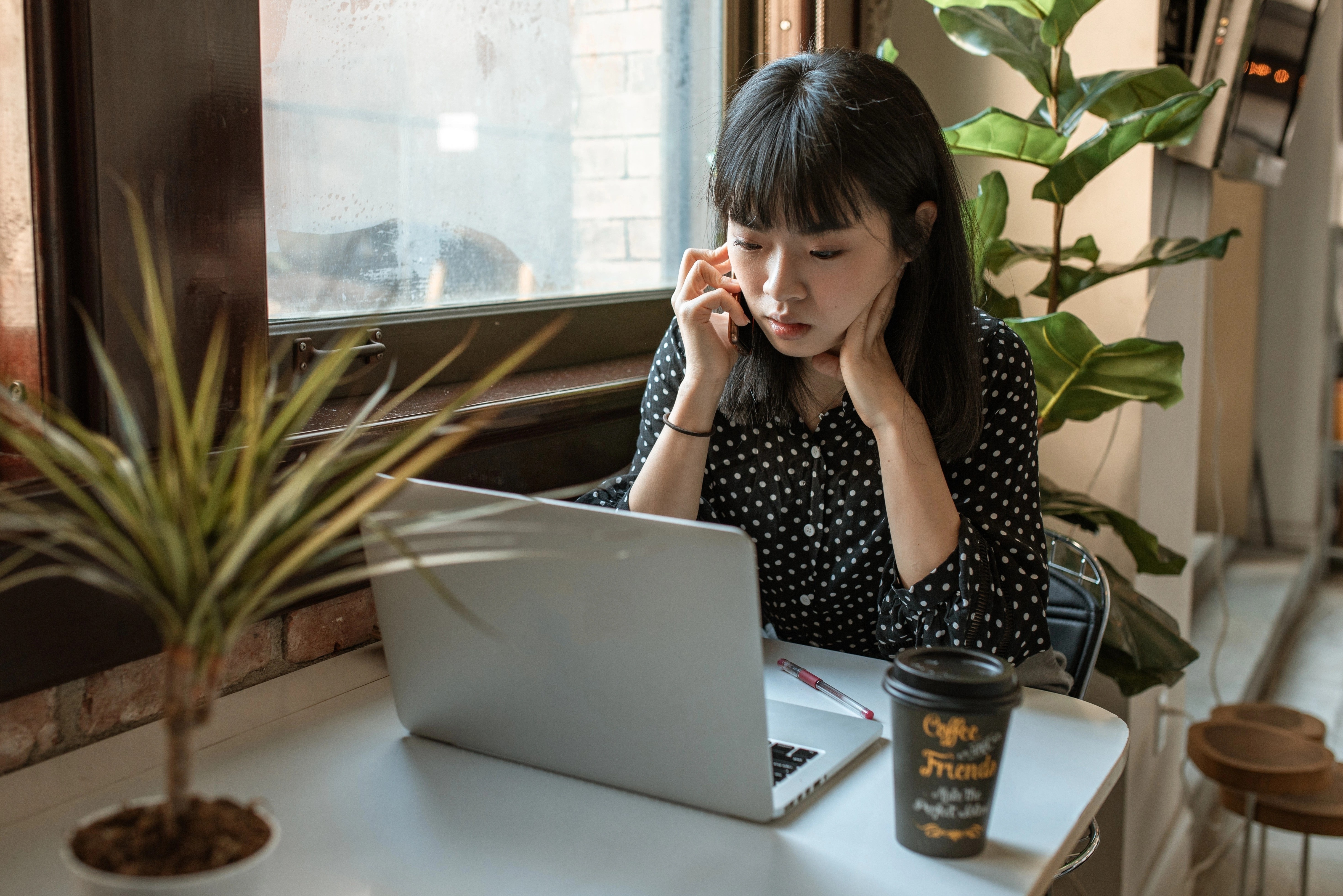 chi tien hoang phi anh 1