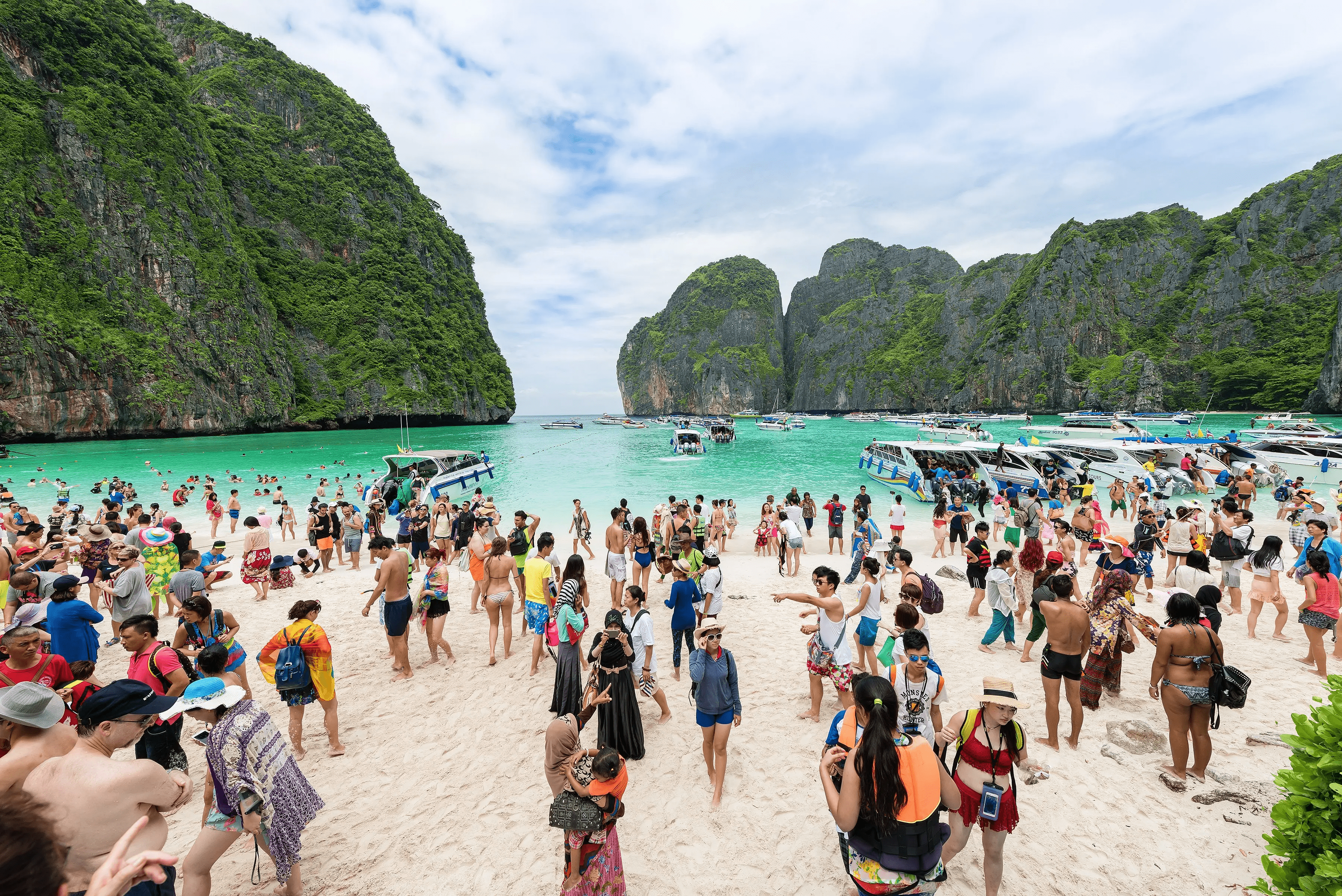 tàn phá koh phi phi ảnh 1 tan pha koh phi phi anh 1