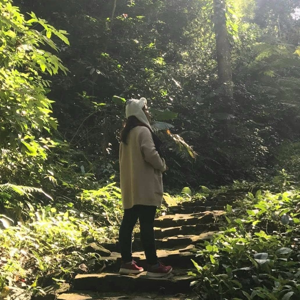 tri lieu tam ly anh 2