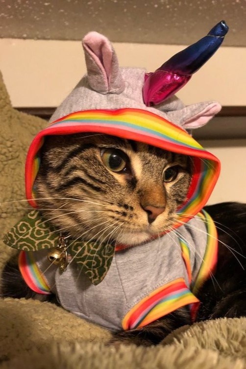 xai tien vo do anh 18