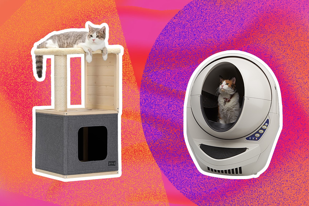 13 mon qua thu hut nguoi yeu meo hinh anh