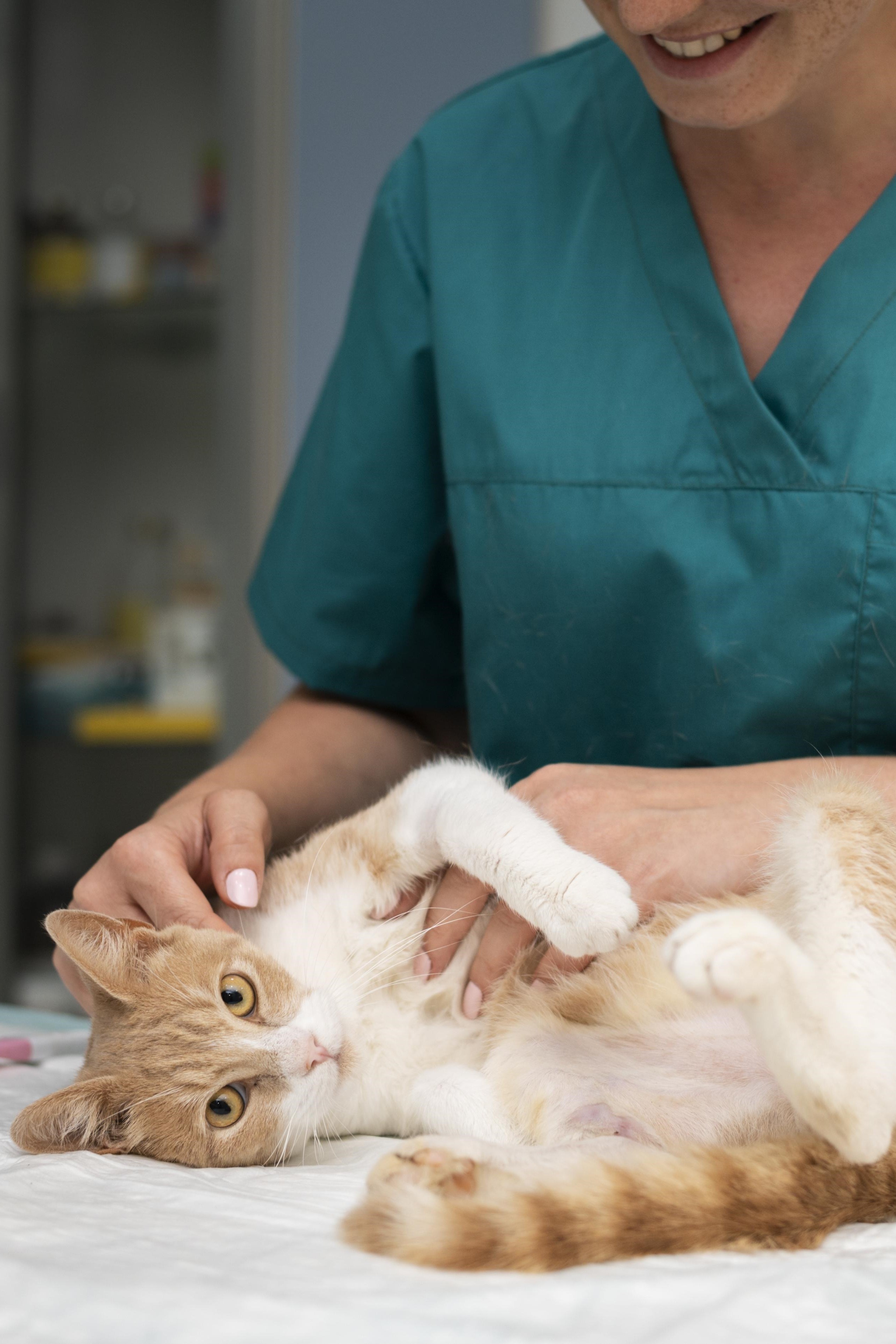 lam tuong nghe nghiep anh 15