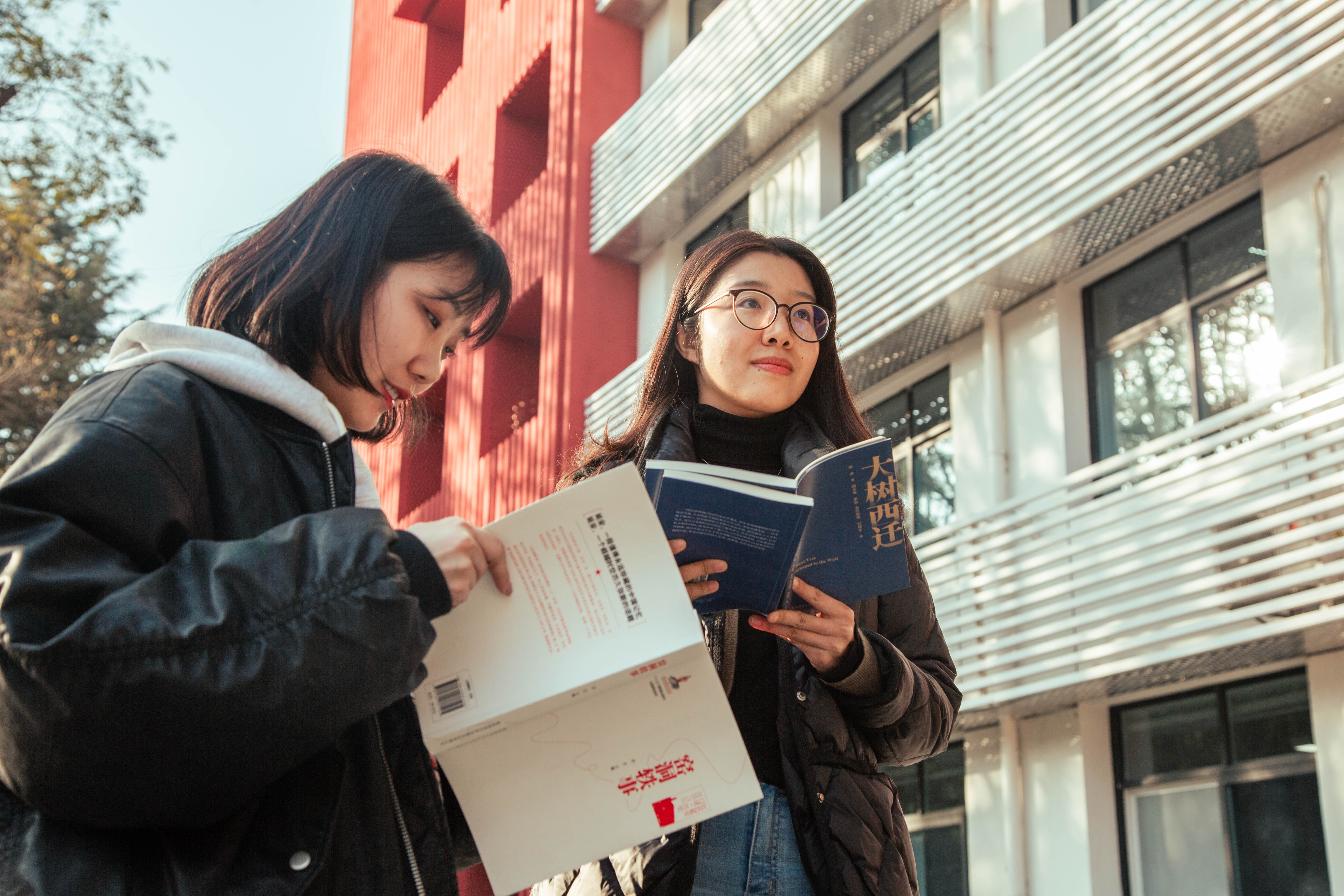 đọc sách năm mới ảnh 2 doc sach nam moi anh 2