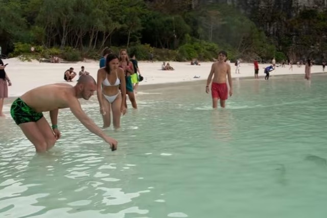 ca map vinh maya anh 1